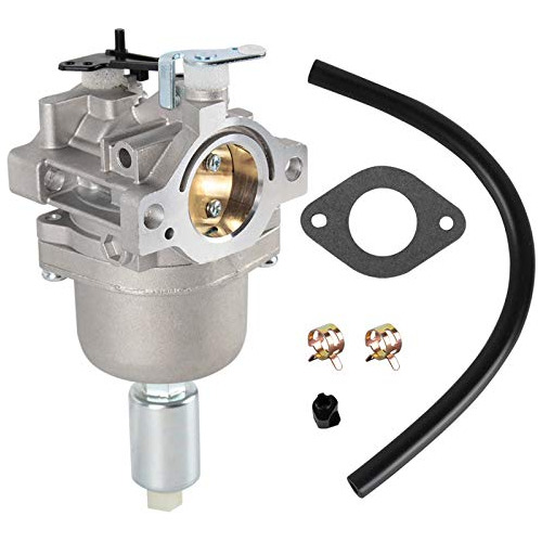 Autokay Carburetor Compatible Con Briggs Stratton 591731 796