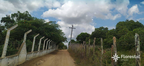 Imagem 5 de 30 de Sítio Com 23 Tarefas A 2 Km Da Br 116 Norte Em Tiquaruçu - Fa0003