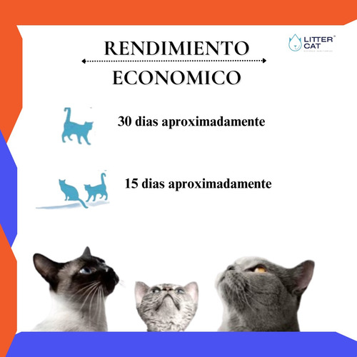 Arena Sanitaria Para Gatos Gatitos Litter Cat Aglutinantes