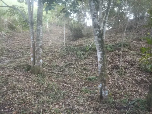 Lote Villeta