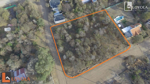 Imagen 5 de 9 de Hermoso Lote En Esquina Con Arboles De Gran Porte!!!!!!