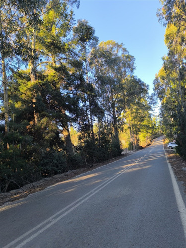 Parcelas Planas En Pichilemu, Orilla De Asfalto.