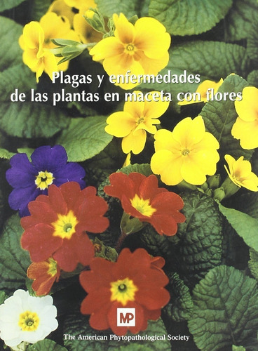 Plagas Y Enfermedades De Las Plantas En Maceta Con Flores