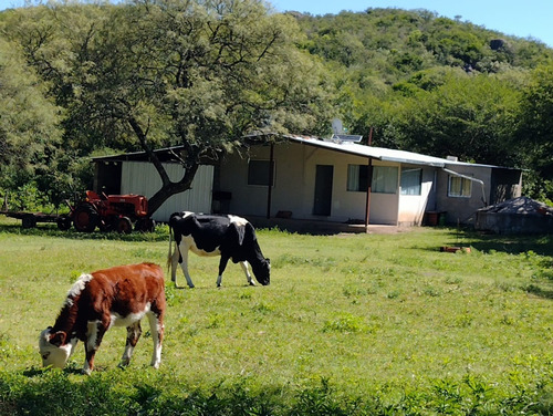 Campo En Venta