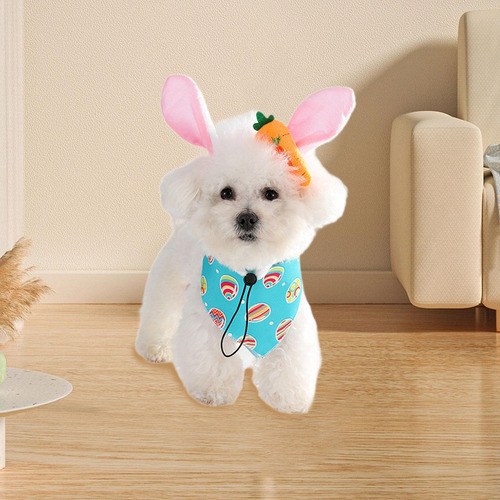 Pañuelo Triangular Para Perro, Pañuelo Para Perros