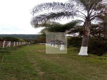Imagem 11 de 30 de Sítio Com 4 Dormitórios À Venda, 60000 M² Por R$ 1.500.000,00 - Serra Negra - Bom Jesus Dos Perdões/sp - Si0005