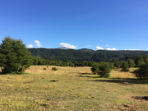 Terreno De Excelente Plusvalía - A 2,3 Km De Malalcahuello
