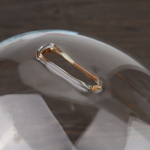 Monedero De Cristal Transparente Para Guardar Monedas Piggy