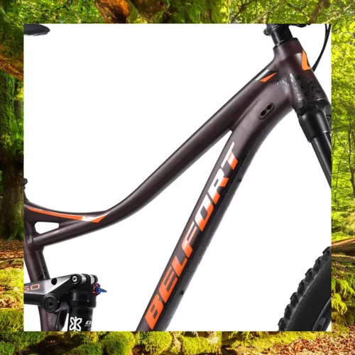 Belfort balam 2019 sale