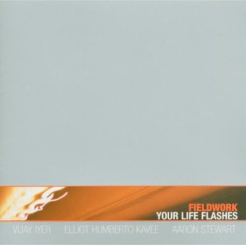 Cd Fieldwork Your Life Flashes