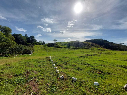 Imagen 6 de 10 de Próxima Residencial