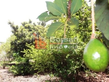 Imagem 6 de 6 de Venda De Rural / Chácara Na Cidade De Araraquara 497