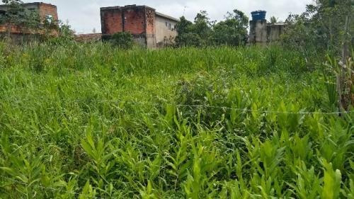 Imagem 3 de 5 de Terreno Em Itanhaém Medindo 286m². 6832e