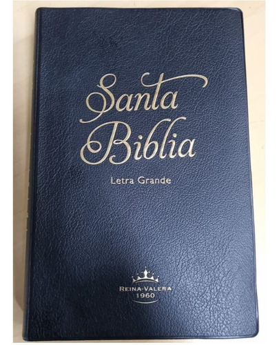 Biblia Reina Valera 1960 Letra Grande Concordancia Viníl Rd