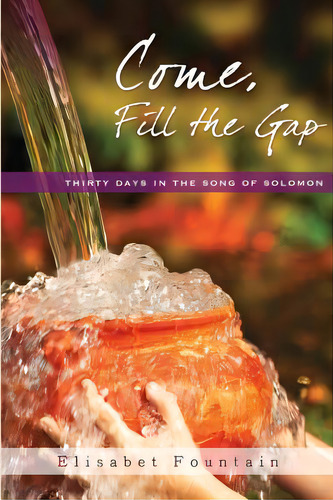 Come, Fill The Gap: 30 Days In The Song Of Solomon, De Funk, Heather. Editorial Createspace, Tapa Blanda En Inglés