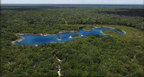 En Venta Lotes Ecológicos En Tulum (237)