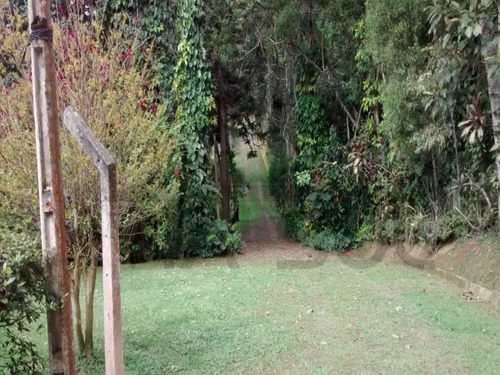Imagem 23 de 30 de Excelente Sítio Rico Água Com Nascente Própria Em Juquitiba. - 76 - 32982783
