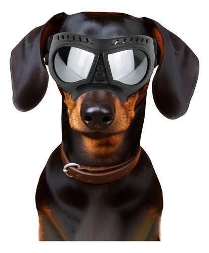 Gafas De Sol Uv Para Perro Pequeño, Mediano