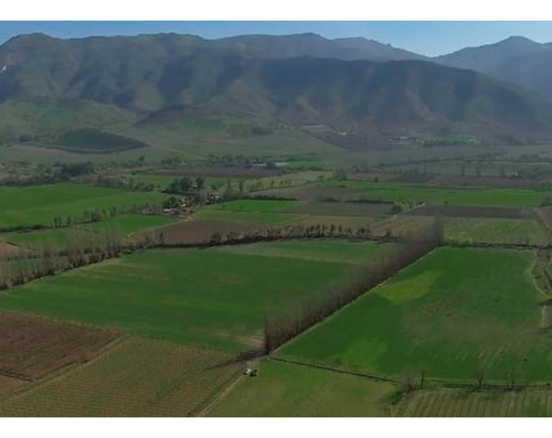 Vende Parcelas De 5.000 Mt2, Rol Propio, En Rinconada De Los