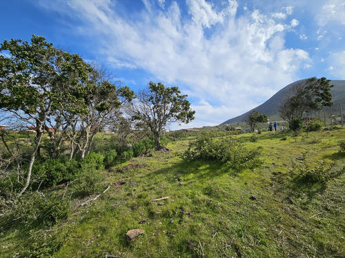 Terreno 5000 Mts.2 Quilimari 4ta Region , Pichidangui.