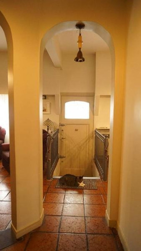 Imagen 4 de 25 de P.h. Al Frente, Entrada Independiente, Con Patio, Terraza Y Quincho. Espacio Aéreo. Sup. 240 M2. Totales . Precio Por M2. Usd 920.- .-