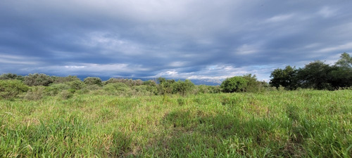Imagen 3 de 27 de Oportunidad Hermoso Campo Productivo Las Tapias