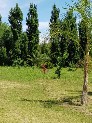 Venta Quinta Con Estanque Propio