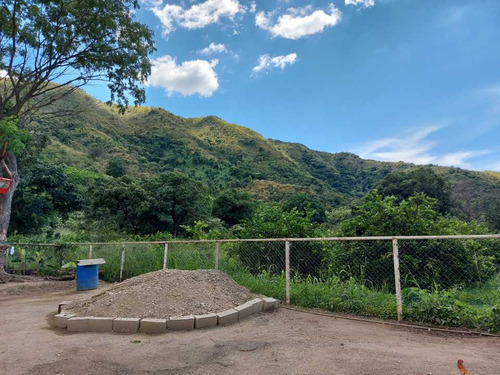 Imagen 5 de 29 de Finca Mixta + Manga De Coleo De 1 Ha En Guayabita En Turmero