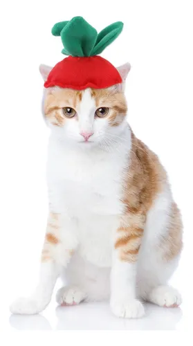 Perro Gato Sombrero Sombrero Traje Sombrero Hojas De Fresa