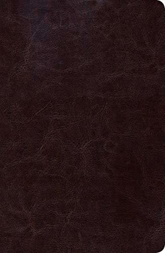 Rvr 1960 Biblia De Estudio Scofield Tamano Personal, Chocola