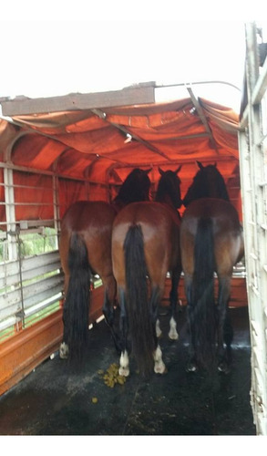 Acoplado 4 Mts Carro Vaquero Jaula Trailer Enganche Cigueña