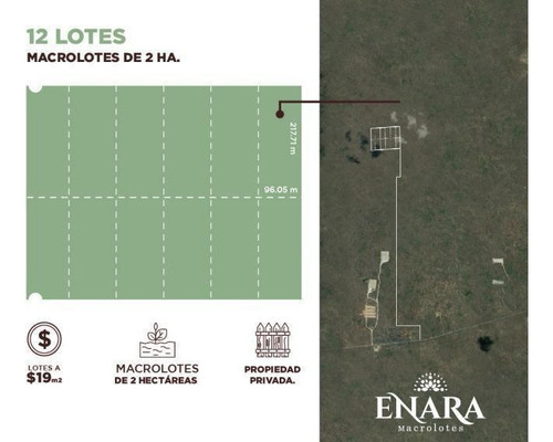 Imagen 2 de 6 de Pre-venta Enara Macrolotes Celestún