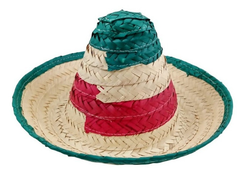5 Sombrero Zapata Niño Tricolor Zapatista Palma Fiesta Mex