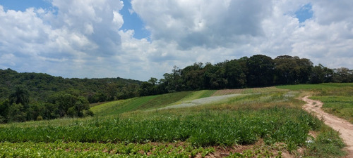 Imagem 2 de 13 de Terreno Perfeito Para Sua Chacara Em Cotia