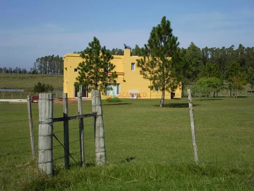 Zona Rural Muy Cercana A Playas De José Ignacio 