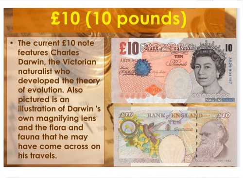 Cedula Rainha Elizabeth 2a - Inglaterra - 10 Libras-original (Usado)
