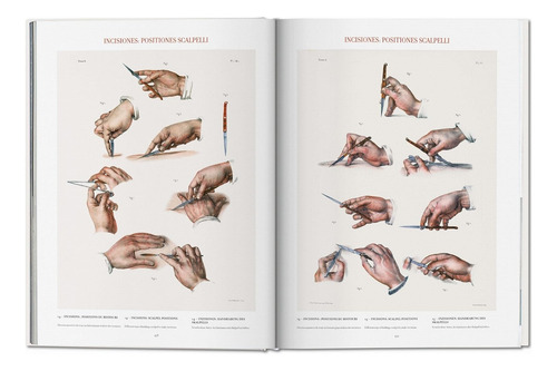 Atlas Of Human Anatomy And Surgery - Por J. M. Bourgery - Anatomia - Livro Importado Edição Grande - Inglês Francês - Editora Taschen - Capa Dura - 1a Edição