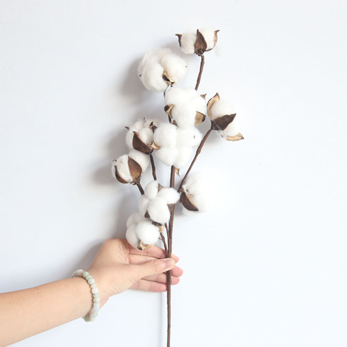 Relleno De Flores Artificiales Con Tallos Secados De Forma N