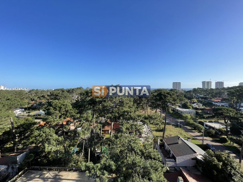 Imagen 7 de 12 de Apartamento En Venta - Roosevelt
