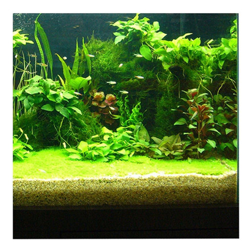 A Cartel De Paisaje De Acuario 122x46cm Tipo C - 122x46cm