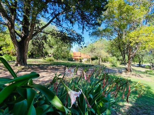Imagen 7 de 16 de Venta 19 Hectareas 4313 M2 Sobre Ruta N5 En Villa General Belgrano - Inv0072