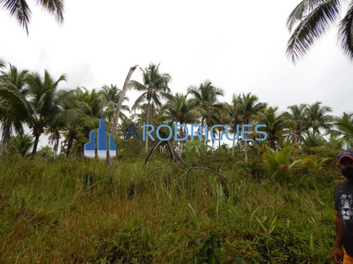 Imagem 26 de 28 de Terreno Ilha À Venda, Ilha Do Tanque, Em Barra Grande - Frente Praia E Contra Costa, Navegável - Te00150