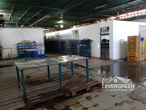 Imagen 3 de 8 de Galpón En Venta Pozuelos - Puerto La Cruz 04248116548