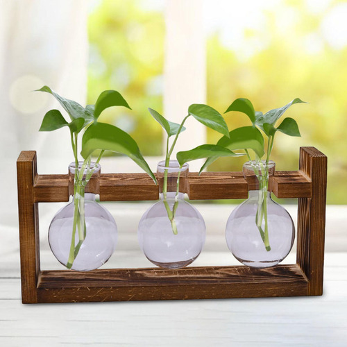 . Centro De Propagación Para Plantas 27,6x5,7x13cm