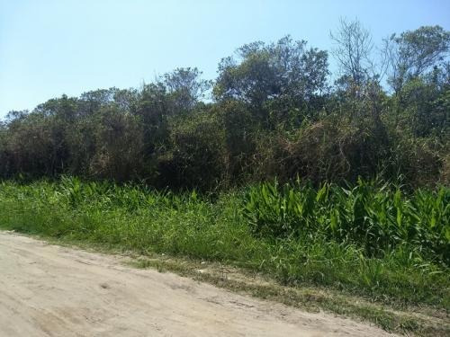 Imagem 1 de 5 de Terreno Escriturado Próximo De Comércios - Itanhaém 6010|npc