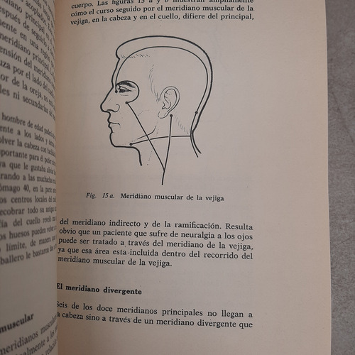 Acupuntura. Felix Mann