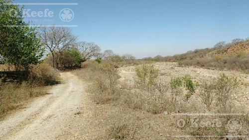 Imagen 14 de 30 de Campo En Venta En Salta - 2000 Has
