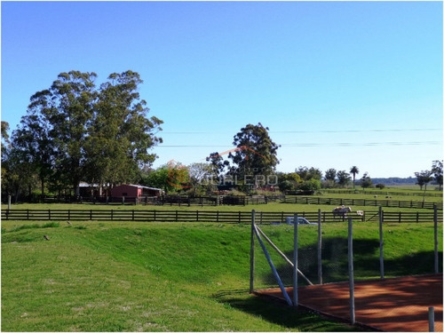 Venta De Terreno En Punta Del Este, La Barra, Barrio Privado El Quijote- Ref: 21342
