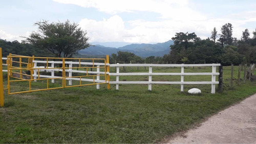 Imagen 3 de 16 de Finca Ganadera Doble Propósito Santo Domingo