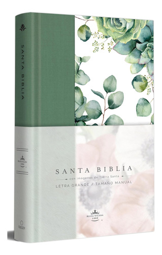 Libro: Biblia Rvr 1960 Letra Grande Tapa Dura Y Tela Verde C